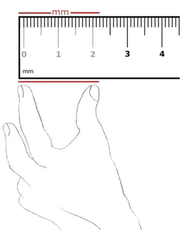 Sizing Chart